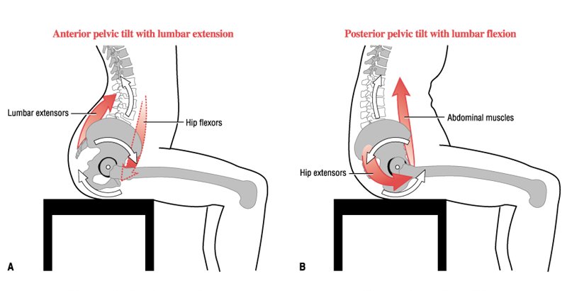 FitnessHacks101's tweet image. Sitting is the new smoking and why you need to improve your posture today ow.ly/ZFbZV