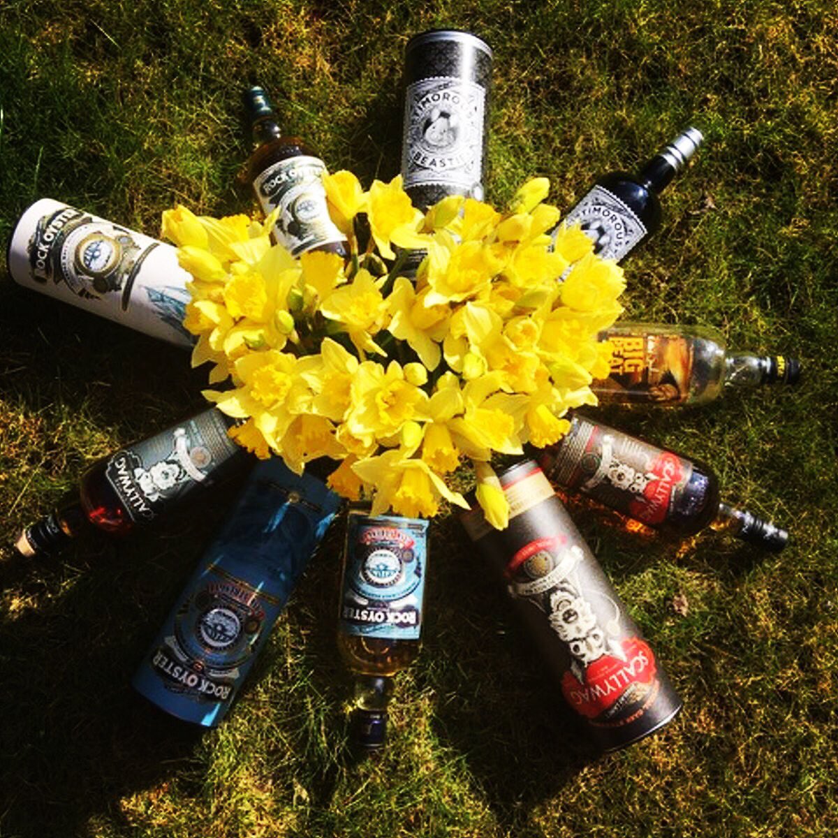 RemarkableMalts's tweet image. Helloooooo Spring! 😎 #startofspring #remarkablemalts