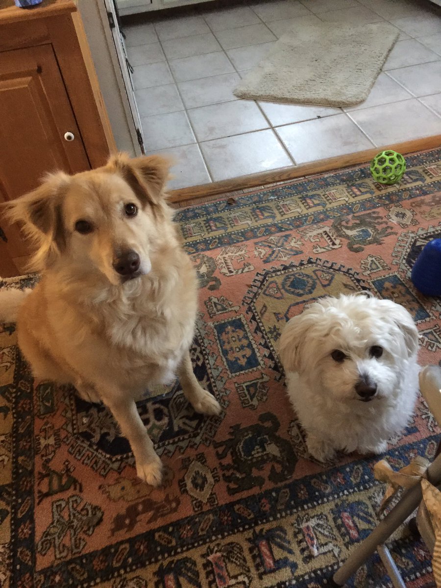 PatterD's tweet image. 