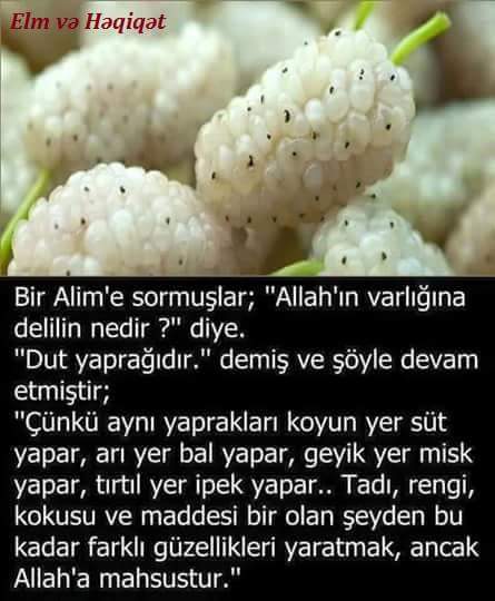 YSuleyman84's tweet photo. https://t.co/2vMCRJWHCl