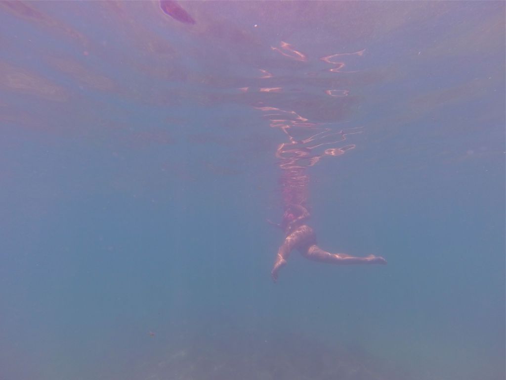 Molly Baker tweet media