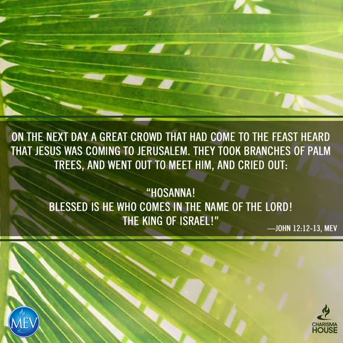 MEVBibleVerse's tweet photo. Hosanna! Blessed is He who comes in the name of the Lord! The king of Israel! -John 12:12-13 MEV #PalmSunday https://t.co/k330UEdjdC