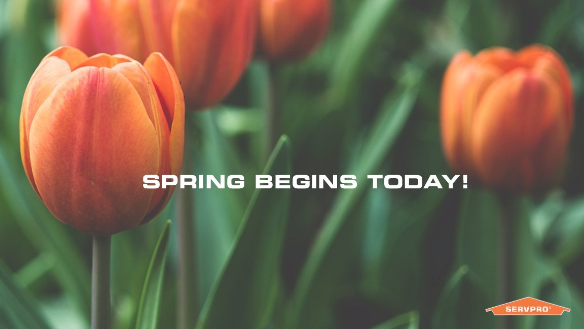 We hope your spring is full of blooming flowers and some much-welcome warmth. #FirstDayofSpring