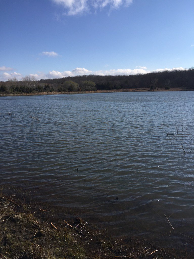 Beautiful morning catching largemouth bass! Want to own this property? sundgren.com/195-9-acres-wi…