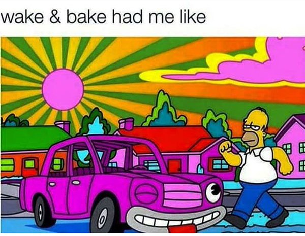 weedweekly_'s tweet photo. #weekweekly #weed #stoner #sativa #weedmaps #kush #weedlovers https://t.co/syIHPDR1Lq