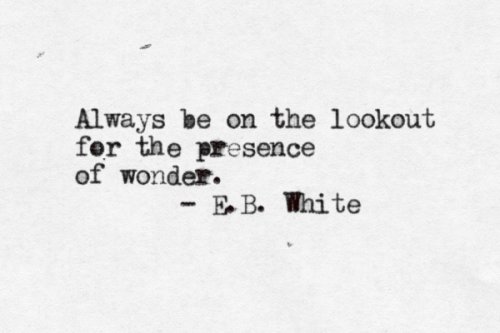 literatequotes tweet picture