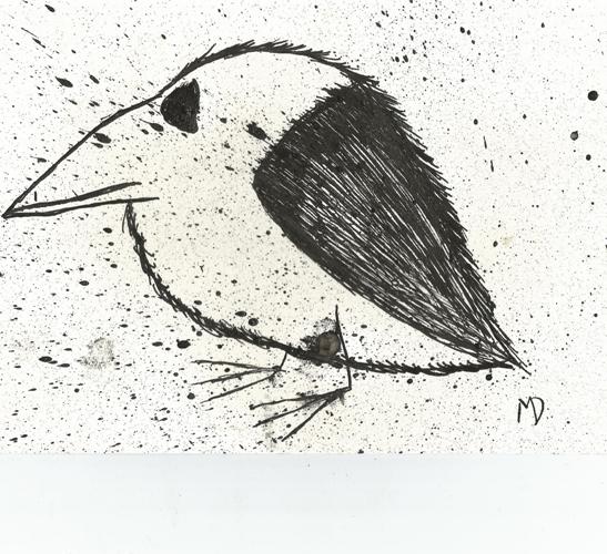 horacepanterart's tweet photo. Just bought this set of #PunkBirds ink drawings from artist @hilliatfields #SundayTrading!! https://t.co/MmWDfSDcXB