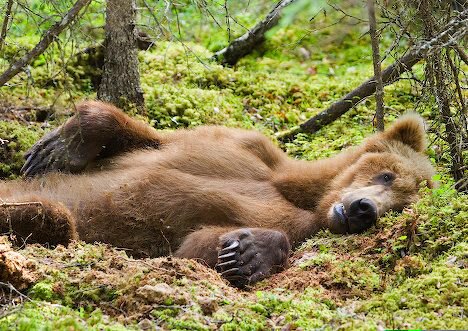 teachergoals's tweet photo. The joy of getting somewhat near the recommended amount of sleep. https://t.co/IdIAVjxPC0
