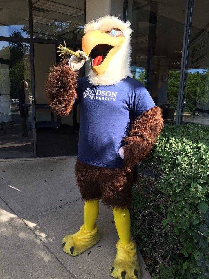 JudsonU_ADP's tweet photo. It's a great day to be a Judson Eagle! #Judsonawesome #MBA #Elgin #Rockford #Online #adultstudent https://t.co/vP11lcvtD7