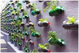 1.botol plastik dapat dimanfaatkan sebagai media tanaman yang inofatif dan indah dengan sedikit kreasi