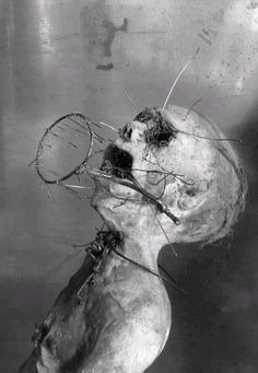 RealHorrorStuff's tweet photo. https://t.co/5xtQwAs82t