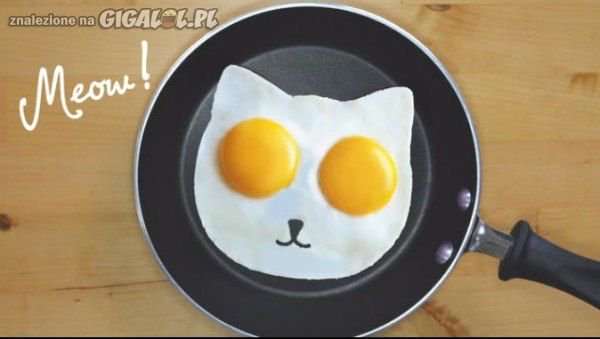 HouseCatRescue's tweet photo. Good Sunday morning critter lovers!
Some #cat style #eggs for the first meal of the day?
#animal #food #breakfast https://t.co/61UWJsops6