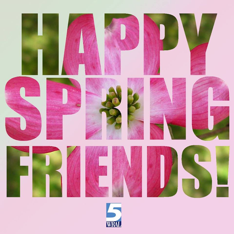 WRAL's tweet photo. Happy Spring, y'all!  #Spring2016 #wral https://t.co/7yVzn4PXCt