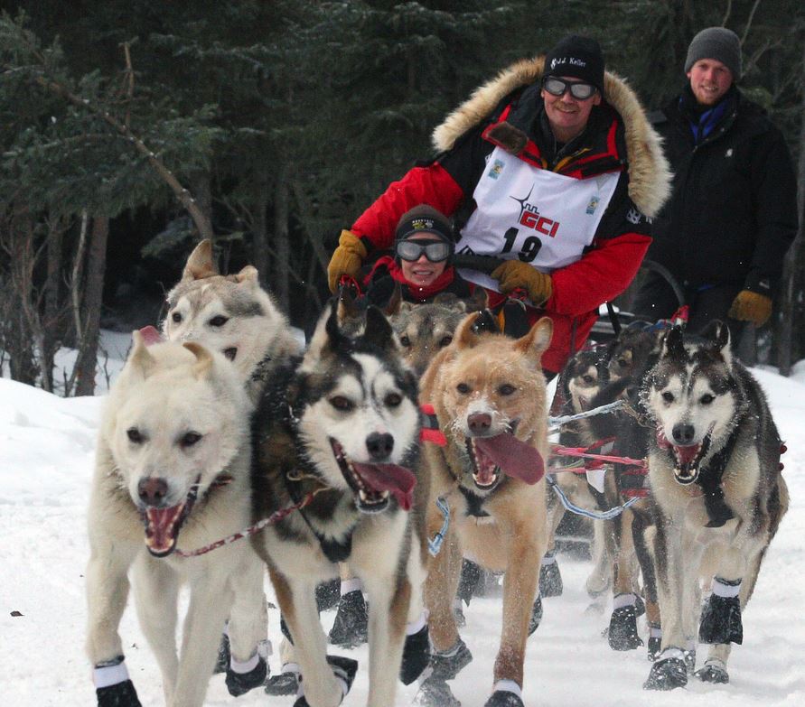 Witnify's tweet photo. Danger at the #Iditarod--#LibbyRiddles talks about survival at the 1985 race: https://t.co/h0Ryovs7kx https://t.co/9EcwRmNZbi