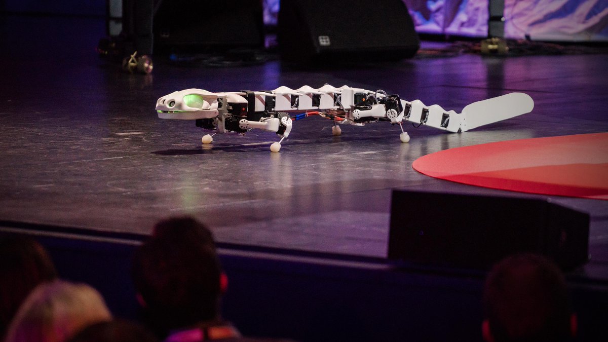 A robot that runs and swims like a salamander: t.ted.com/81rpN1T