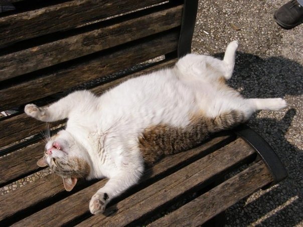 guardian's tweet photo. Have a break: readers' photos on the theme of rest via @GuardianWitness https://t.co/skdj7SZp5w https://t.co/47gKMD96Es