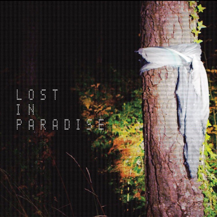 Lost in Paradise (@ulostinparadise) / Posts / X