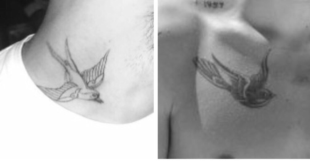 SyssouBee's tweet photo. #hummingbirdheartbeat #ZARRY [Katy Perry song's ✌️ 😎 https://t.co/6CCRKrVRzF