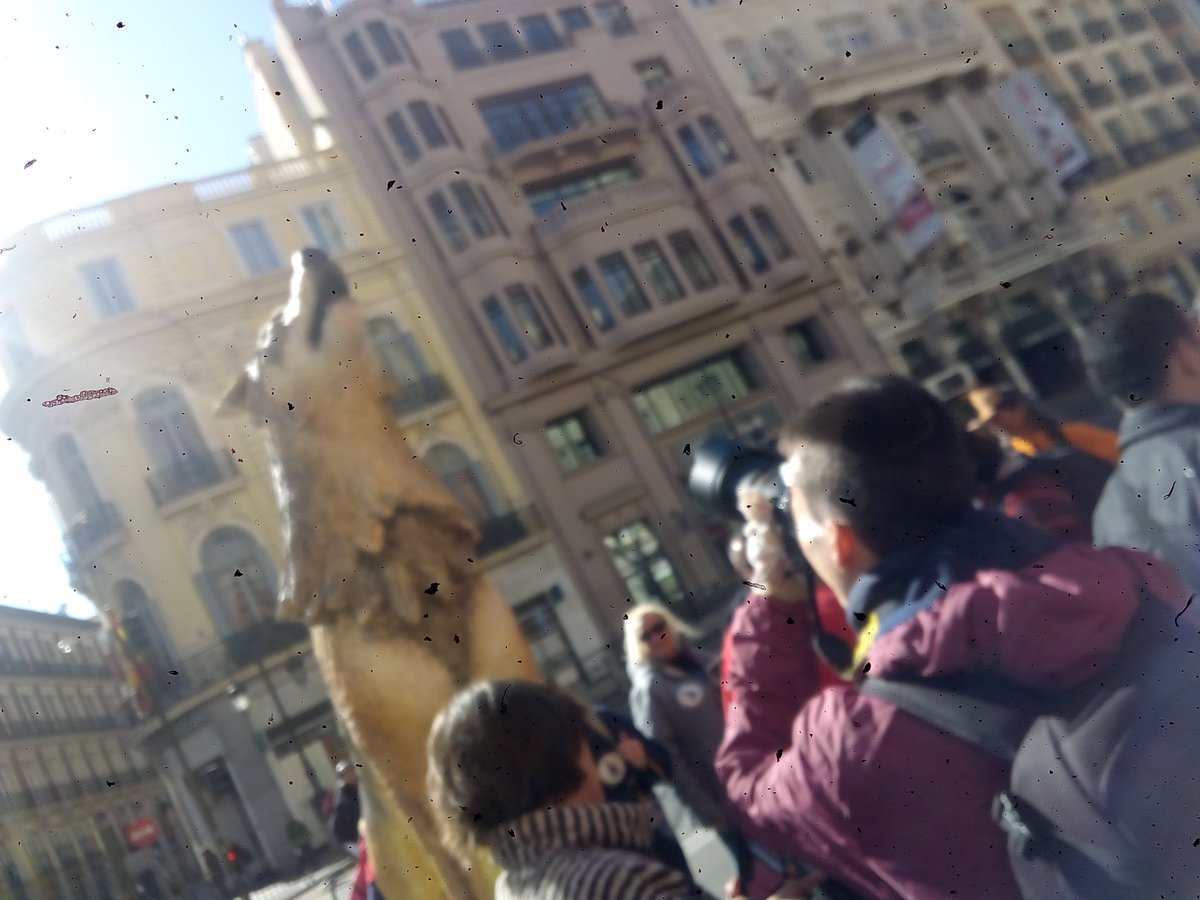 CPeiteadoWWF's tweet photo. El aullido del #lobo llega a Madrid #YoVoy13mLobo https://t.co/UvpoSIC1bJ