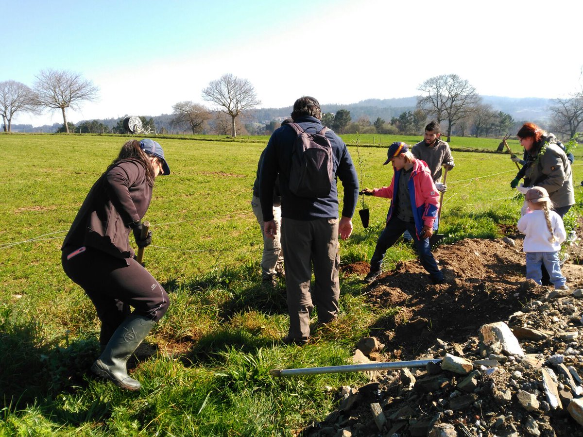 gn_habitat's tweet photo. #CIAM plantación de especies autóctonas nunha contorna agraria para favorecer a #biodiversidade https://t.co/STHPwixhWU