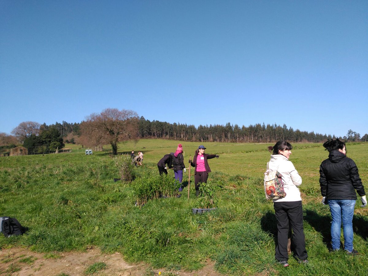 gn_habitat's tweet photo. #CIAM plantación de especies autóctonas nunha contorna agraria para favorecer a #biodiversidade https://t.co/STHPwixhWU