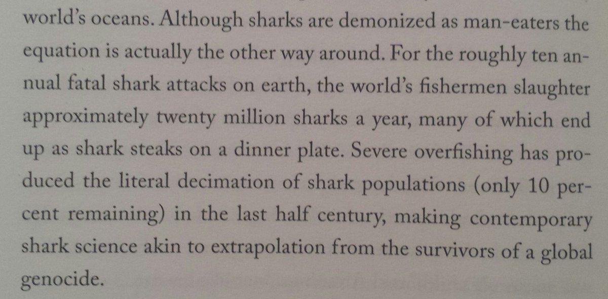 chris dyke tweet media