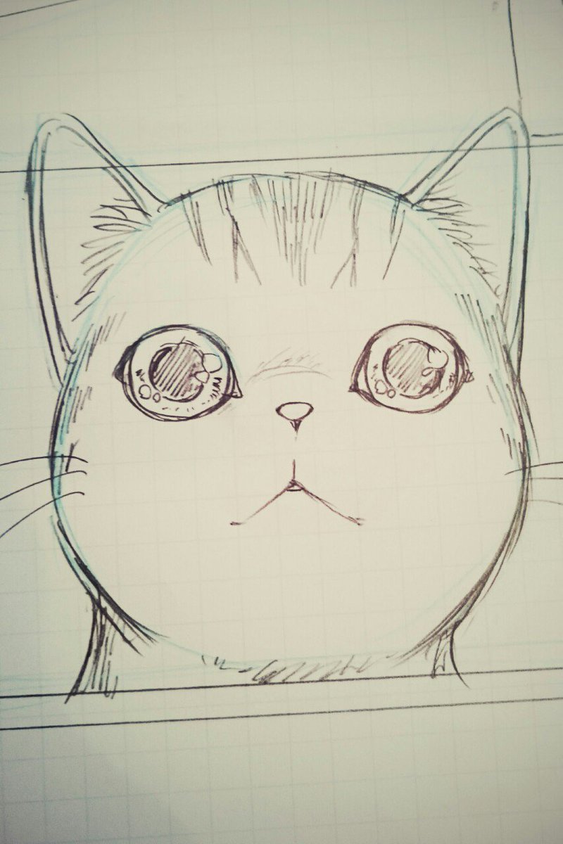 ねこ 
