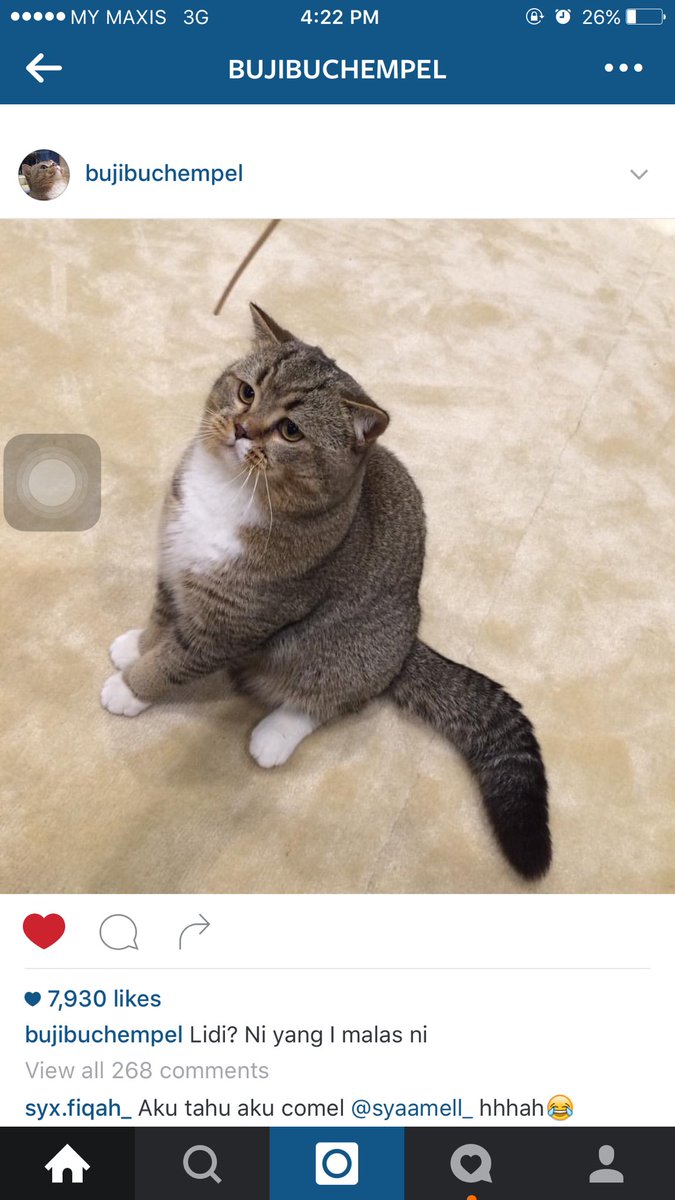 Firmohamed On Twitter Bujibu Ni Dia Handle Acc Ig Dia Sendiri Ke