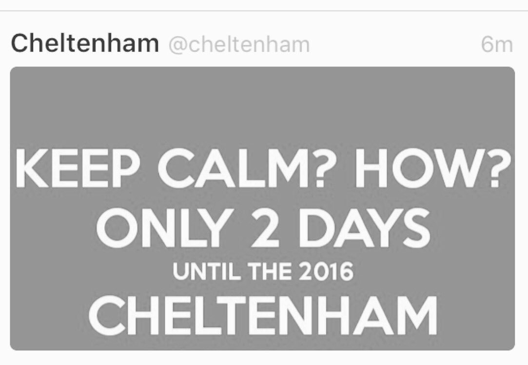 KelsWinter's tweet photo. Let the fun bring 🏇💚🍀🍾🍸🐎 https://t.co/bBwz8LKR5U