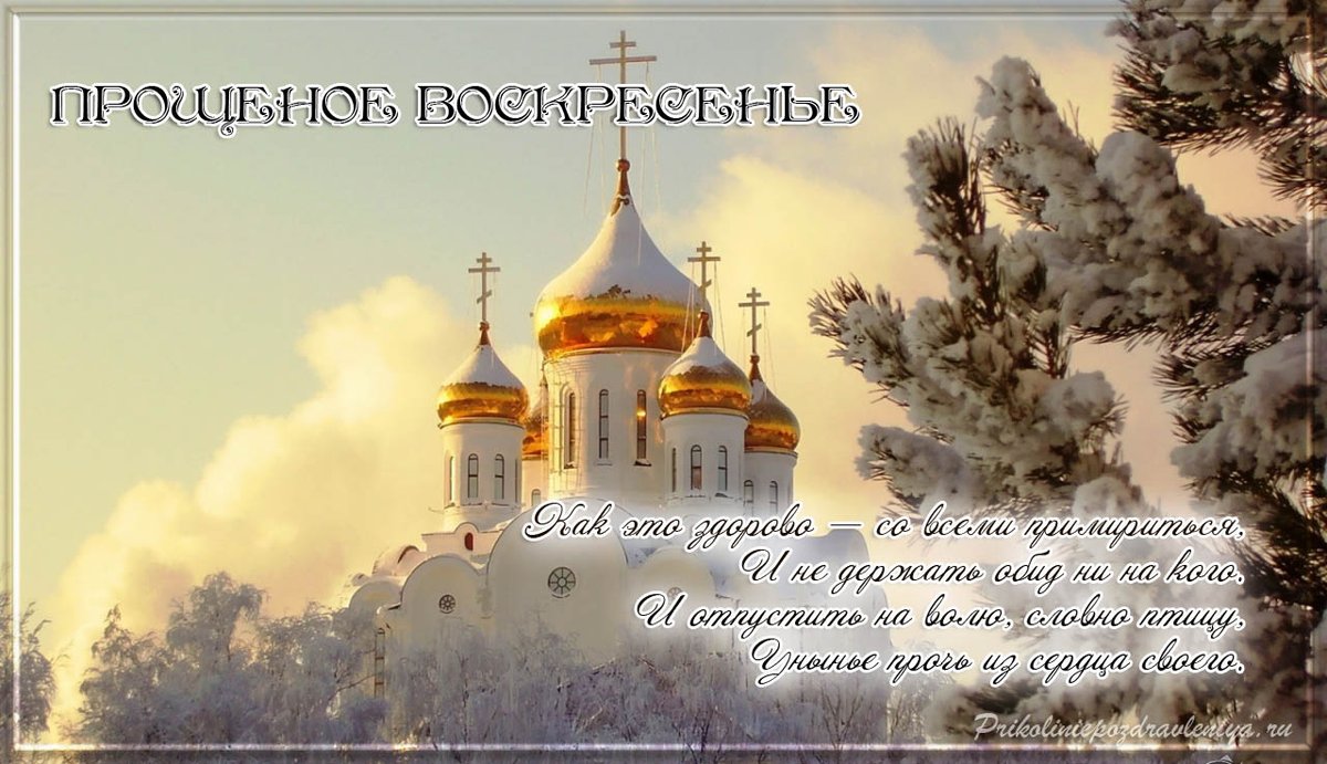 Анна Ольшанская (@toplidernomer1) on Twitter photo 