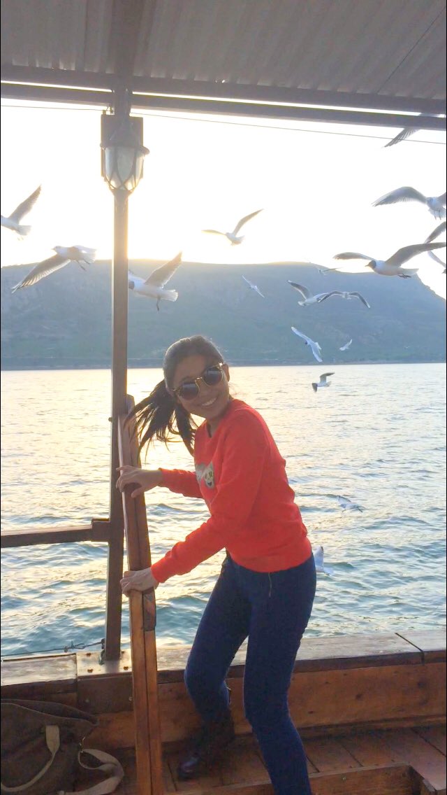 com_windy's tweet image. 