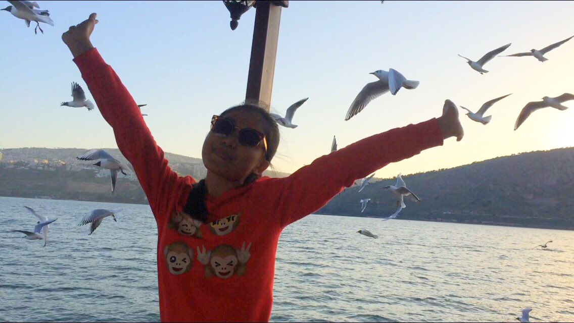 com_windy's tweet image. 