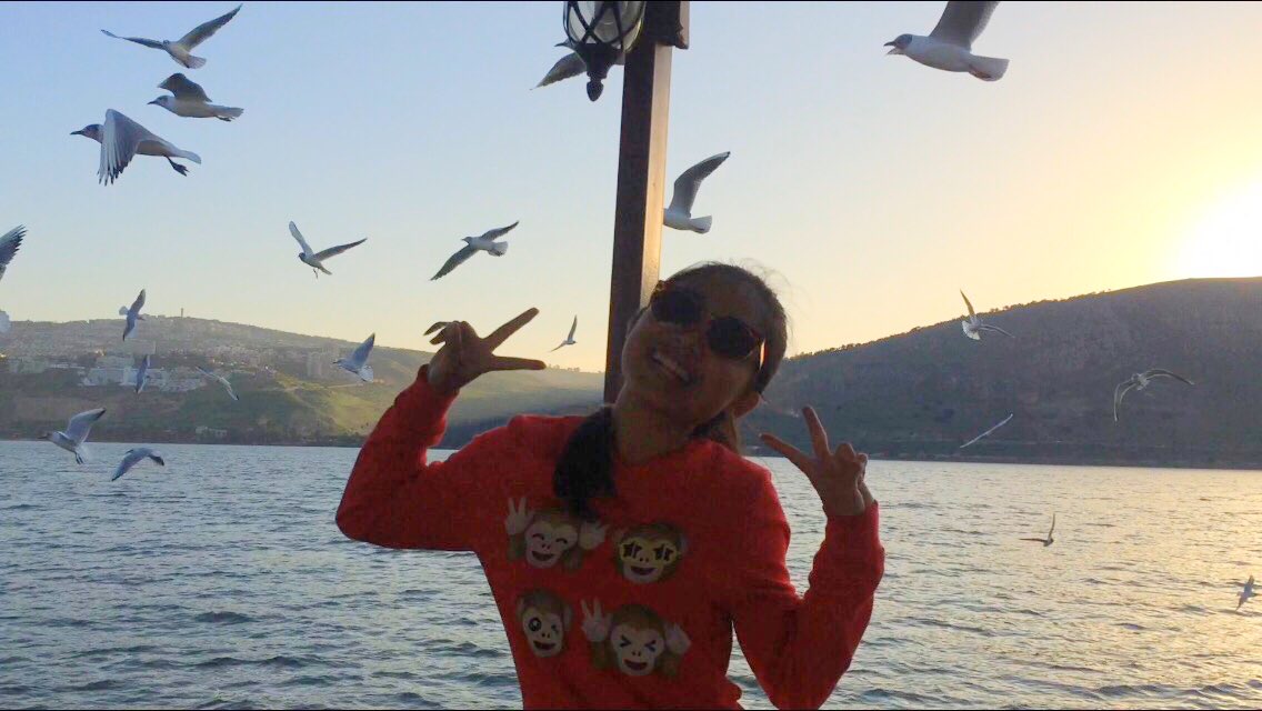 com_windy's tweet image. 