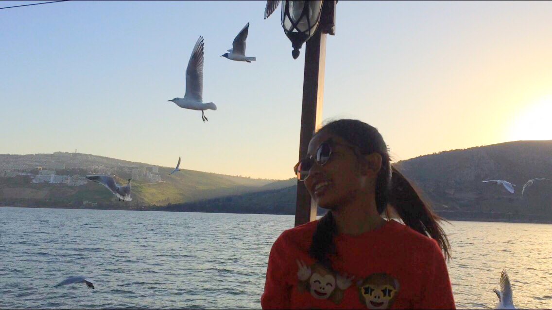 com_windy's tweet image. 