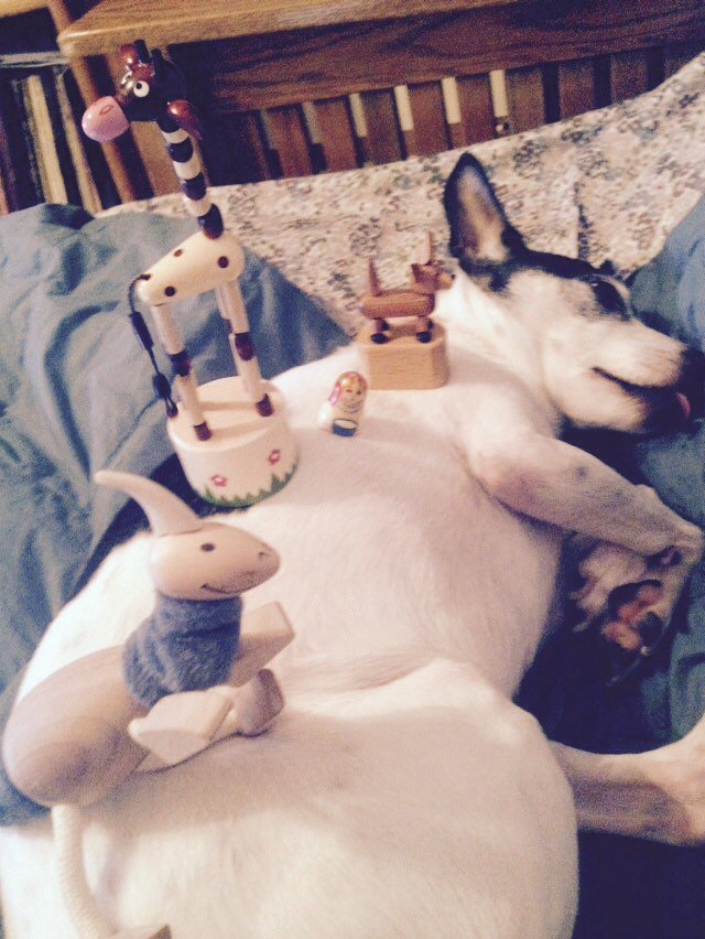 AintSchmidt's tweet photo. I'm piling random shit on my dog yet #WhyIDidntGetIntoHeaven https://t.co/eA4rExRQyc