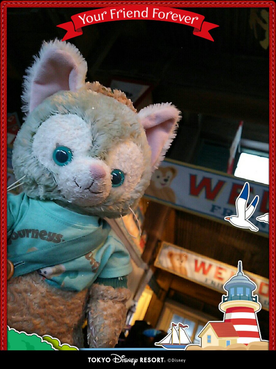 Yachinoffy's tweet photo. ダッフィー、遊びにきたにゃー! https://t.co/Jw4a9Rzh0h #HAPPINESSCAM https://t.co/bECVQGF10r