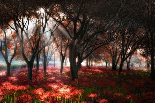 FridaMaha's tweet image. 