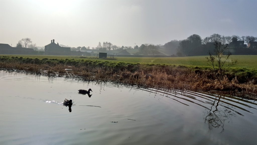 BoaterNikki's tweet photo. Have a fab Sunday everyone 😊
This mornings #viewwithabrew #CoventryCanal #boatsthattweet https://t.co/kVeFYwlInF