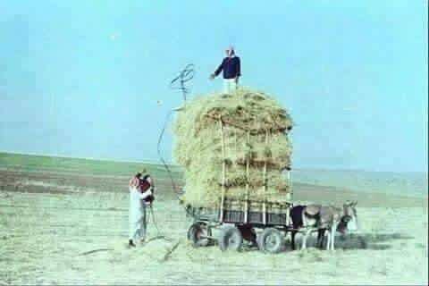 Syria_Union tweet picture