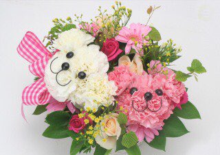 OQMNQ's tweet photo. @_

半年も  ありがとう   。

こんなに傍にいてくれる人
蒼汰が 初めてです  、笑 https://t.co/90rTLlLkQe