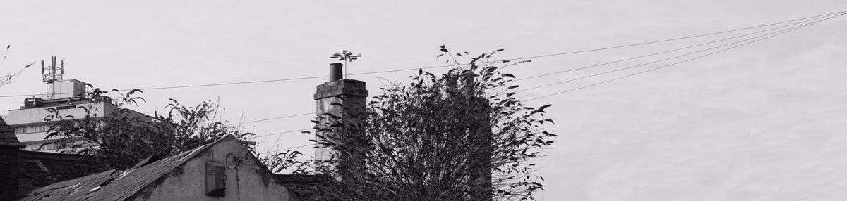 Semi_Natural's tweet photo. Some #SemiNatural inspo from Kings Norton photographers for if you're out shooting on this wonderful afternoon☀️🌇🌿 https://t.co/KiQA9vxxeL