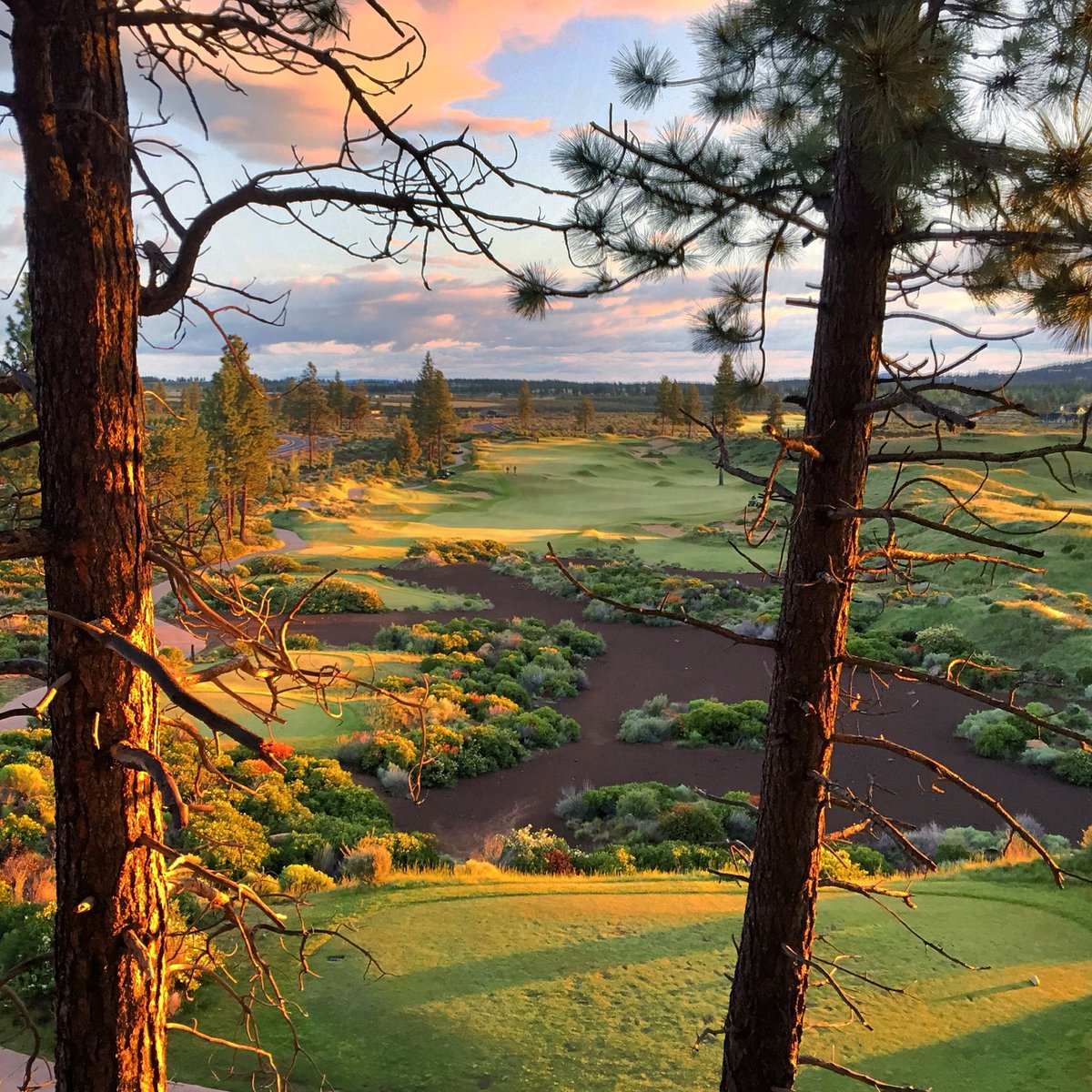 GolfDigest's tweet photo. The sweetest sentence a golfer can hear: "Daylight savings kicks in today." #moretimefor⛳️ https://t.co/ldhHWfL7ds https://t.co/g9zmM8mK8b