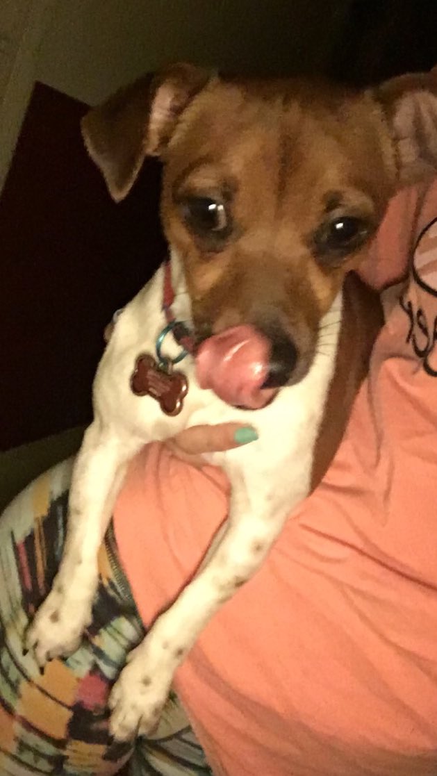 payton0634's tweet photo. #igetbitches#literally#puppylife https://t.co/dseXbFxpR1