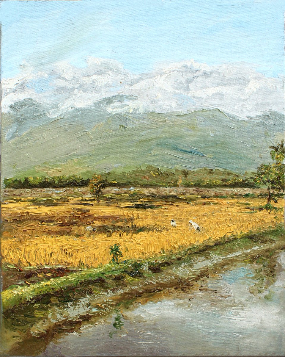MahantNeelim's tweet photo. DHANONI____ ASSAM, INDIA (dec2015) oil on canvas! @AcrylicNeelim https://t.co/ATH3nTwhcB
