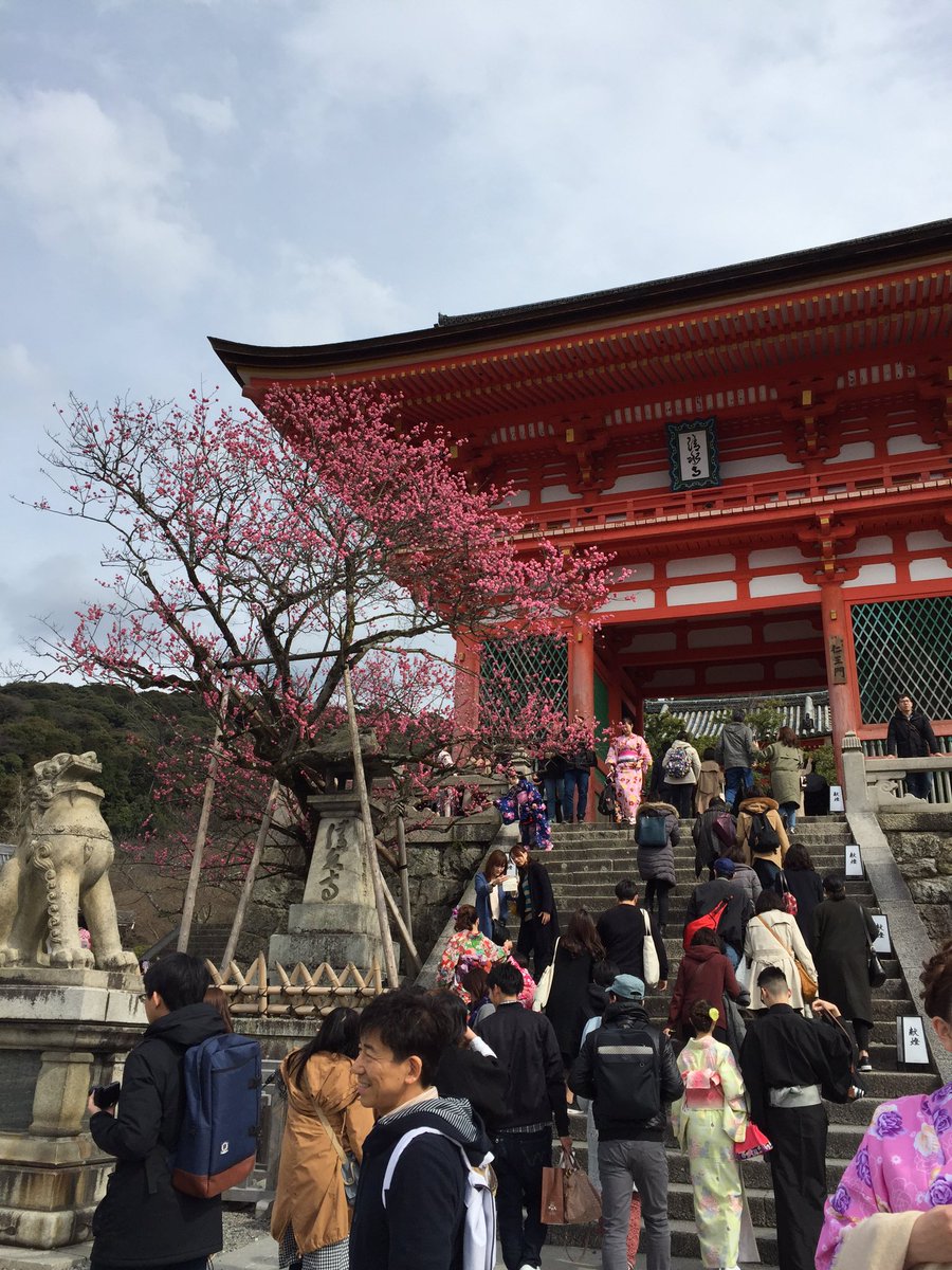 ayumin623 tweet picture