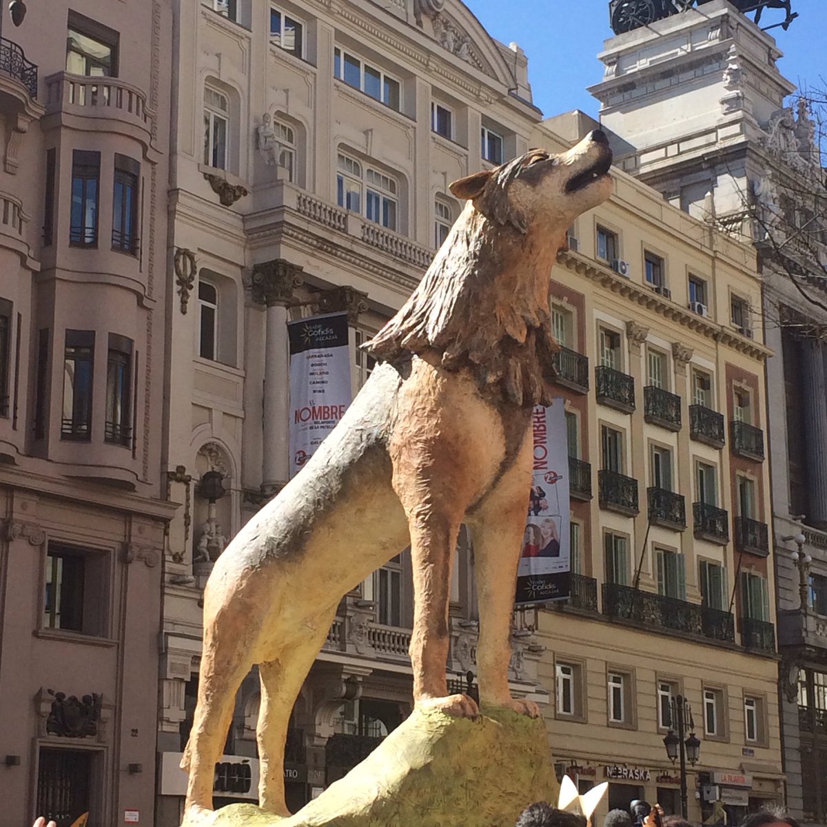 IsaAranjuez's tweet photo. RT @Sandrazber: Hoy Madrid y España entera aúlla por el #LoboVivo13M #loboProtegidoYa #YoVoy13mLobo @Lobo_Marley https://t.co/dv9KU9JmEC