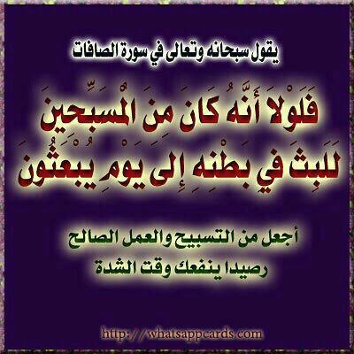 abdelmonemfox's tweet photo. #ترجمة_عبد_المنعم_المصرى_ابوعائشة_واتس_00966519353327 https://t.co/rwKUmpXWtz
