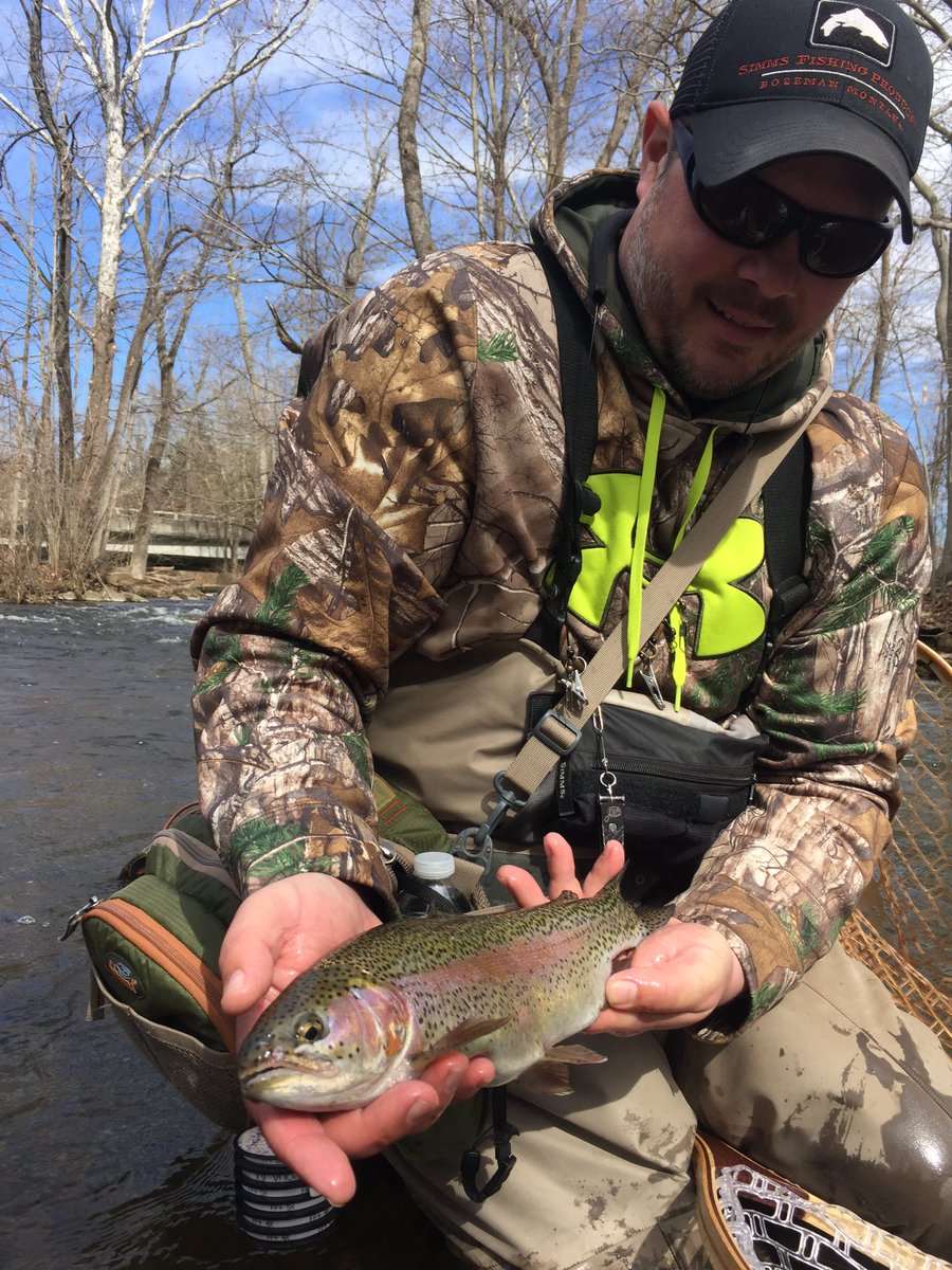 chickenchucker1's tweet photo. Beautiful day, beautiful bow. https://t.co/24xjEqqxyI