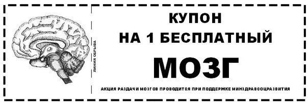 Украинских врачей не пустили к Надежде, они вернулись в Киев, - Вера Савченко - Цензор.НЕТ 3656
