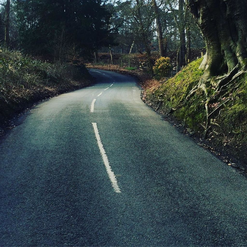 vulpinecc's tweet photo. North Downs x LOTR Glade. #winning #HOYvulpine #rideanddestination #outsideisfree #cycling… https://t.co/qUT4wYfTvA https://t.co/CSNdAtGW5J